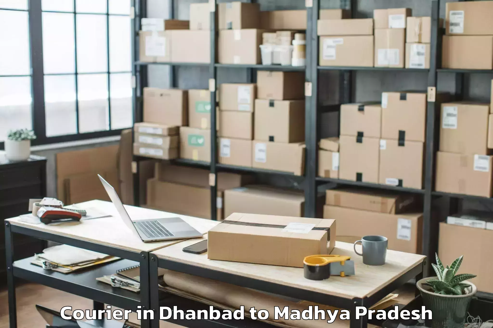 Reliable Dhanbad to Pichhore Courier